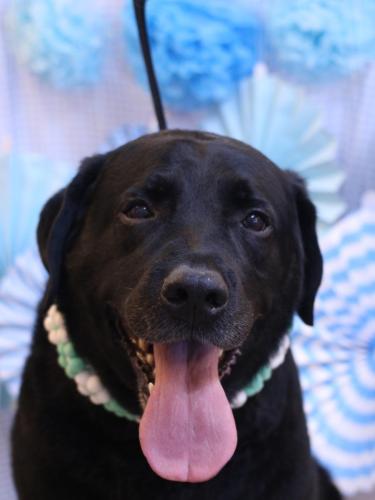 20231114こてつくん